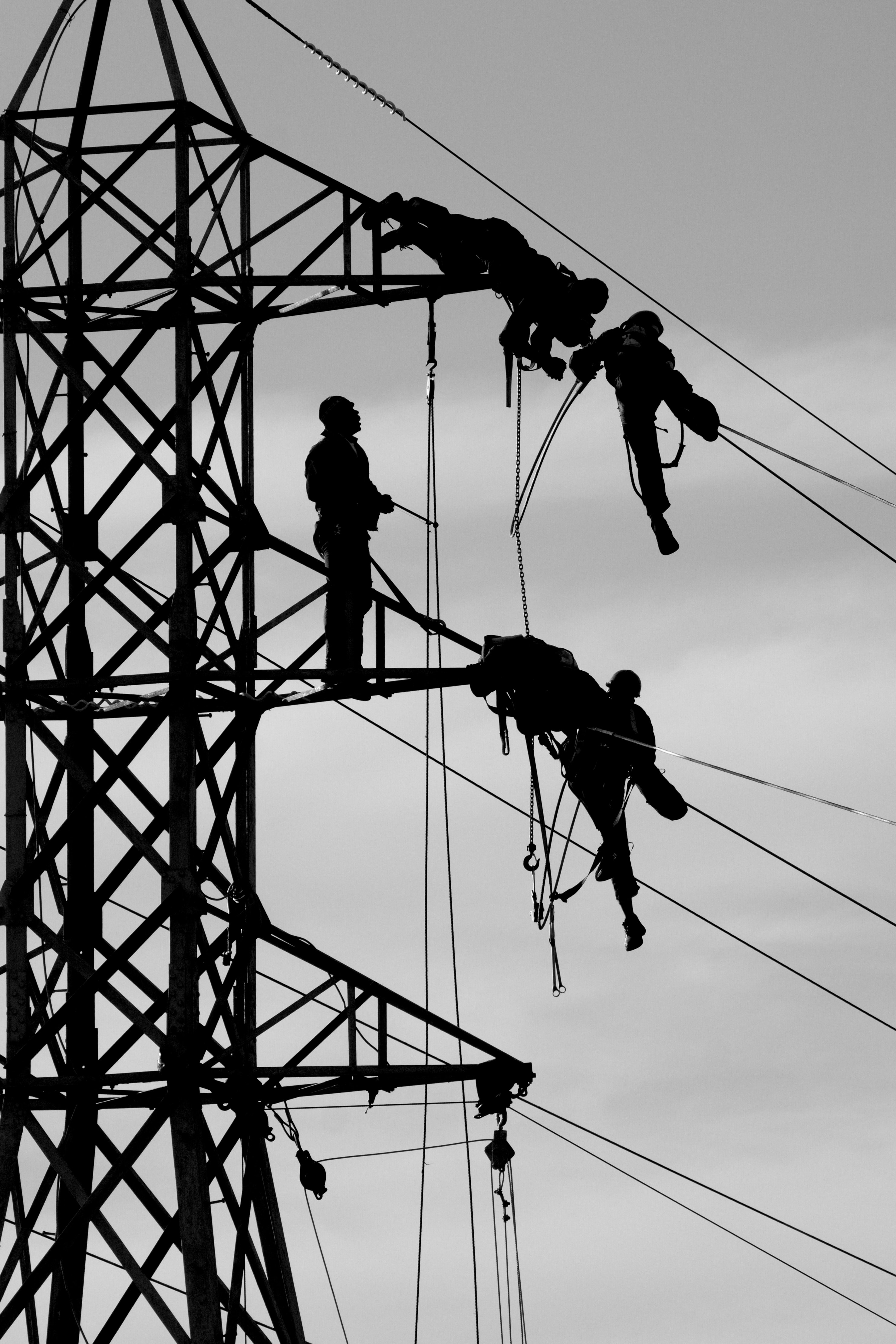 Utility workers conducting maintenance on power lines